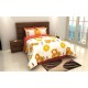 Paquete de Cama Home Nature King Size Manchester