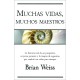 Muchas Vidas , Muchos Maestros