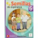 Semillas De Esperanza 6 Maristas