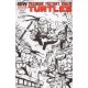 Comic The Teenage Mutant Ninja Turtles numero 1-E