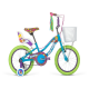 Bicicleta Mercurio Evergreen R20