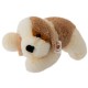 Perro Oly Echado