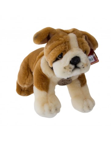 {name} - Envío Gratuito